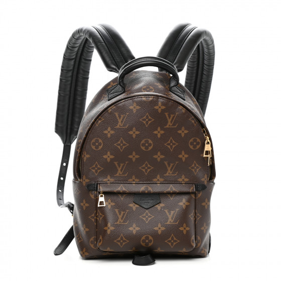 LOUIS VUITTON Monogram Palm Springs Backpack PM